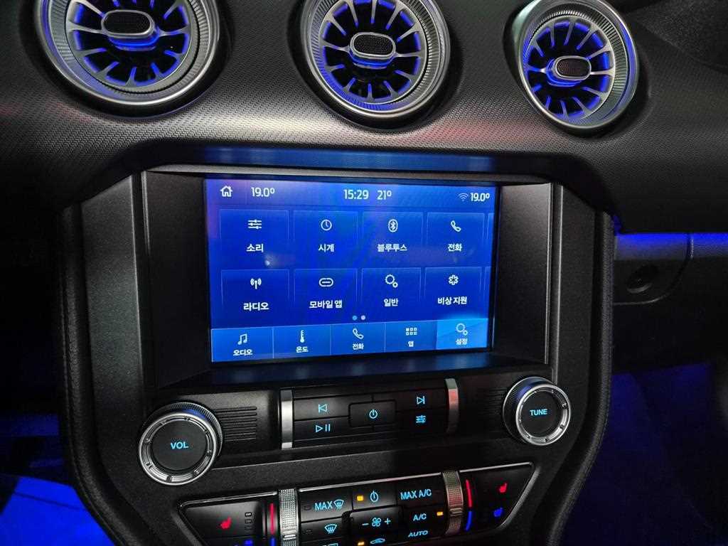 Ford Mustang - Vista 10