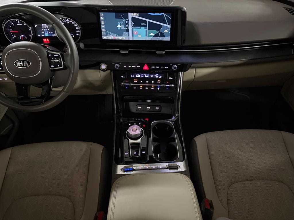 KIA Carnival - Vista 6