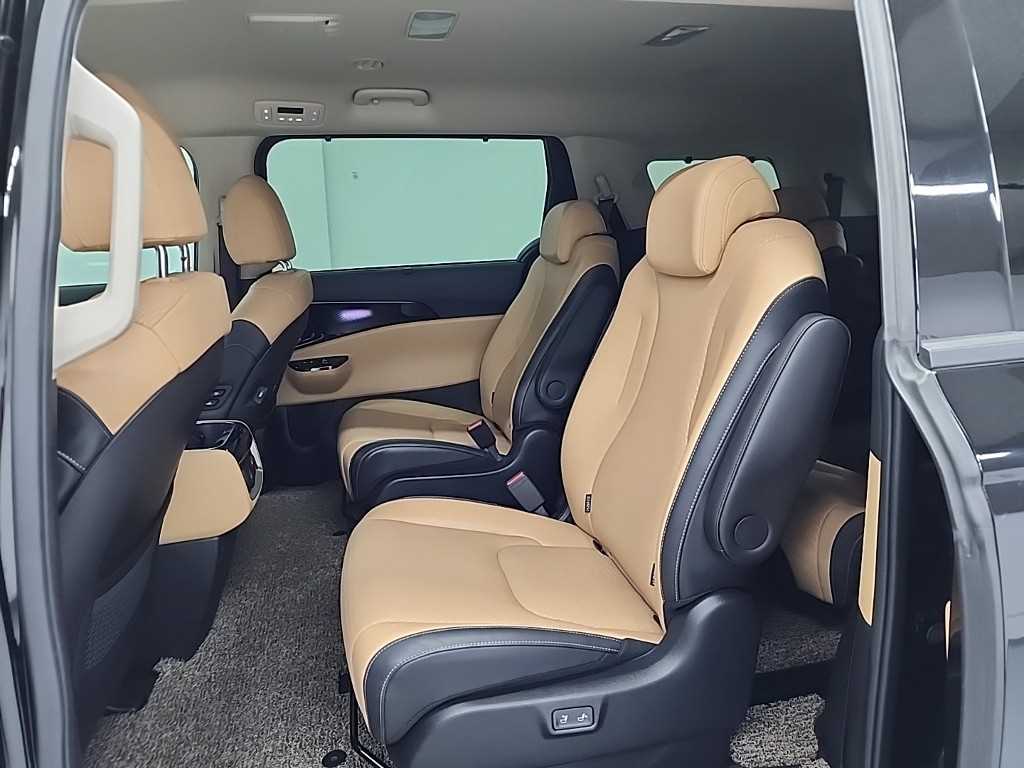 KIA Carnival - Vista 12