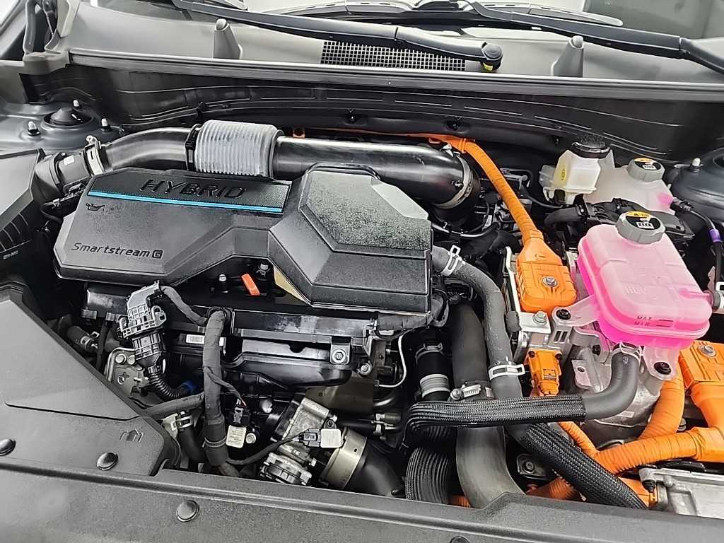 KIA Sportage - Vista 5