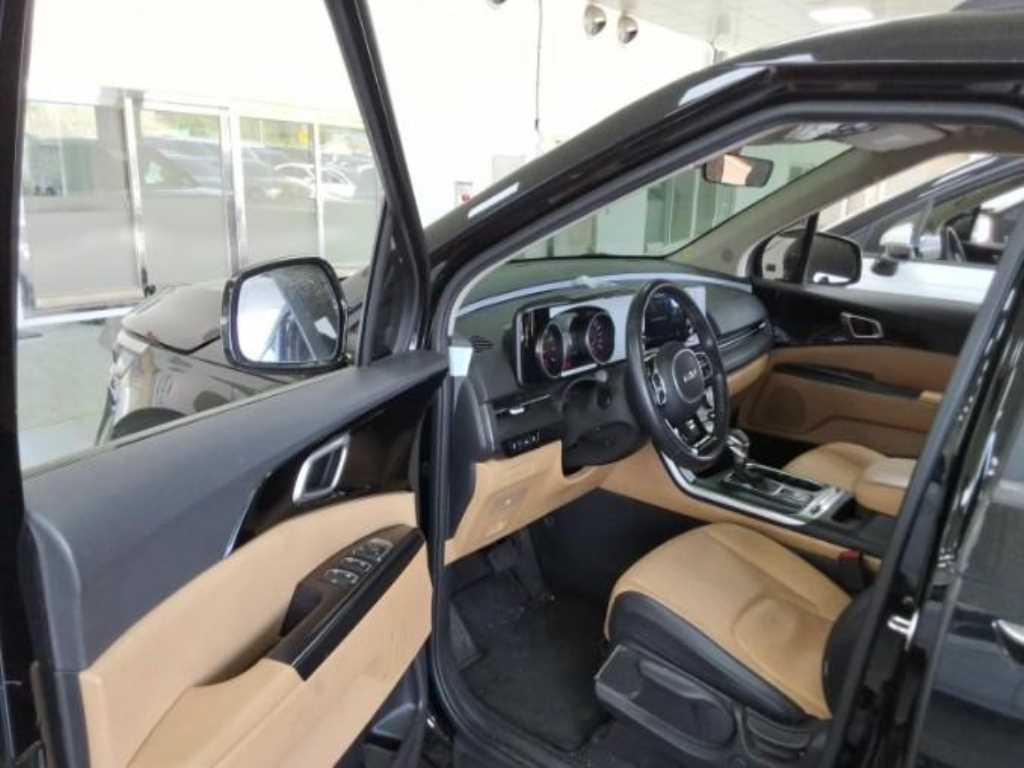 KIA Carnival - Vista 8