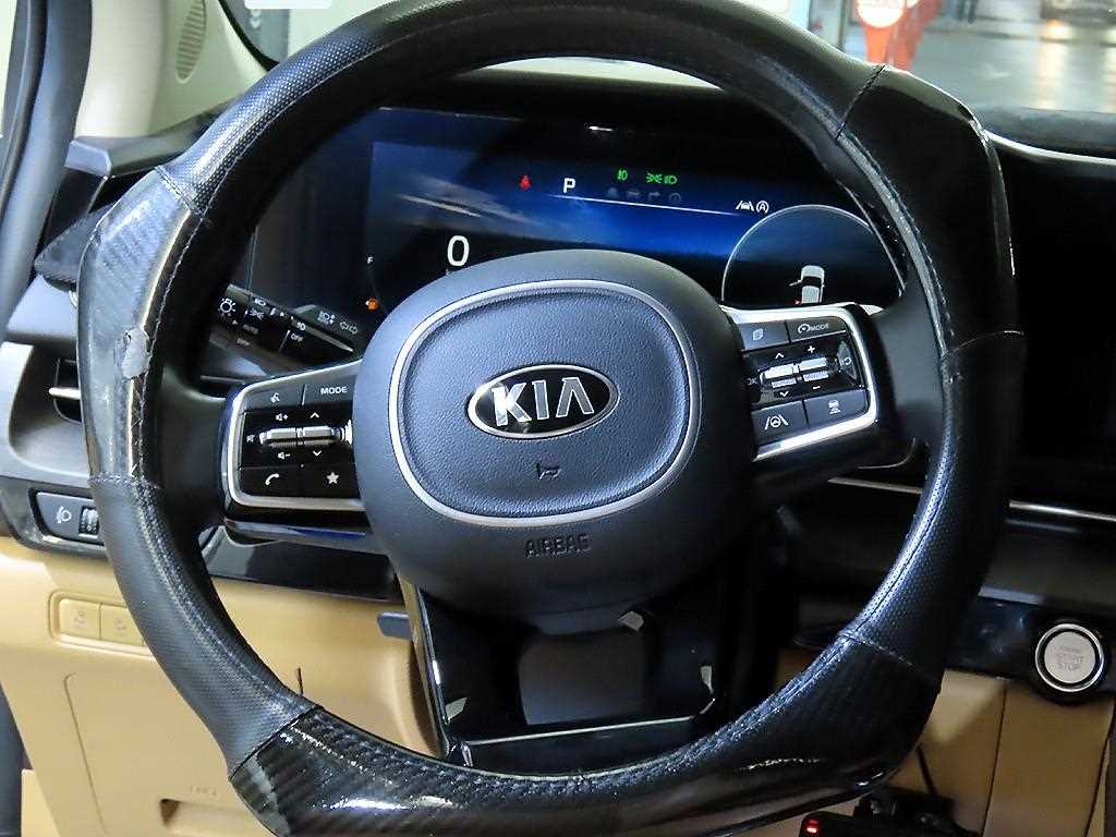 KIA Carnival - Vista 8