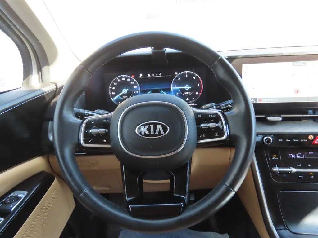 KIA Carnival - Vista 11