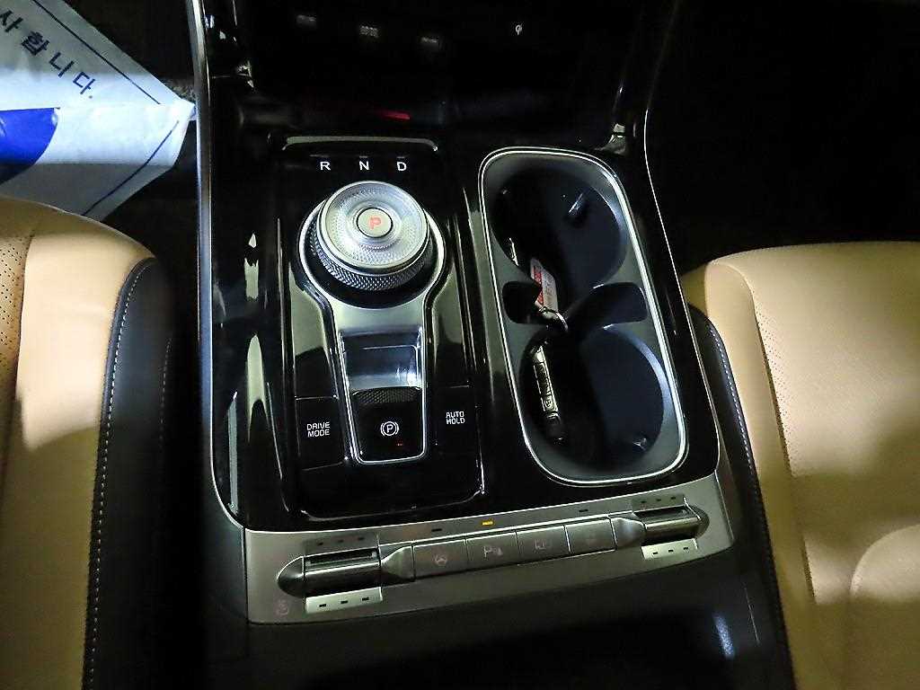 KIA Carnival - Vista 12