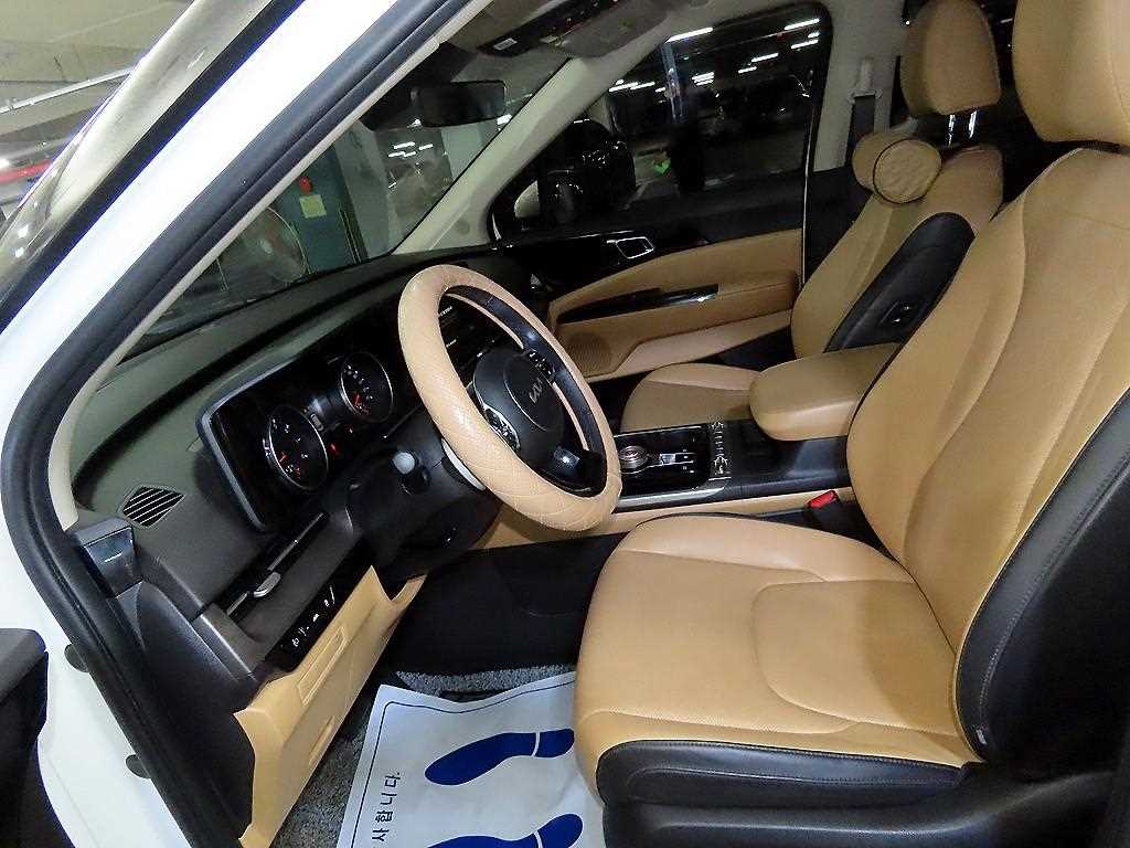 KIA Carnival - Vista 6