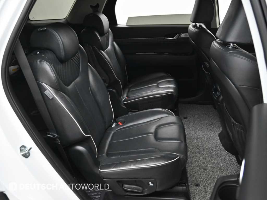 HYUNDAI Palisade - Vista 12