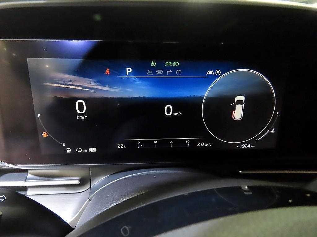 KIA Carnival - Vista 9