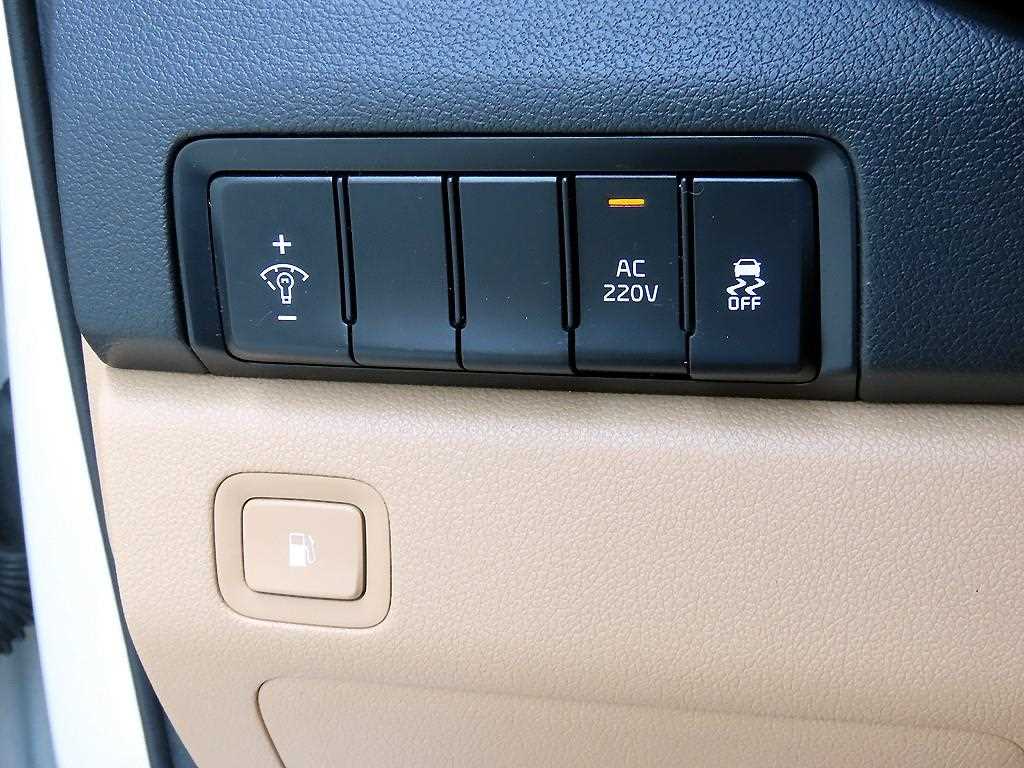 KIA Carnival - Vista 12