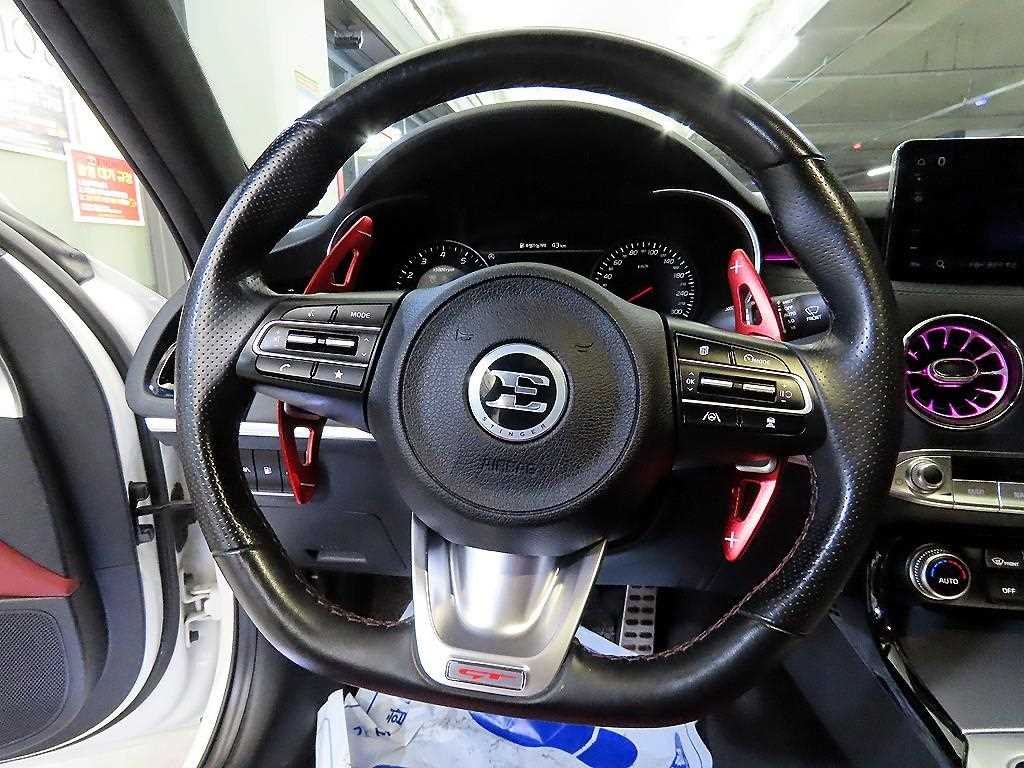 KIA Stinger - Vista 8