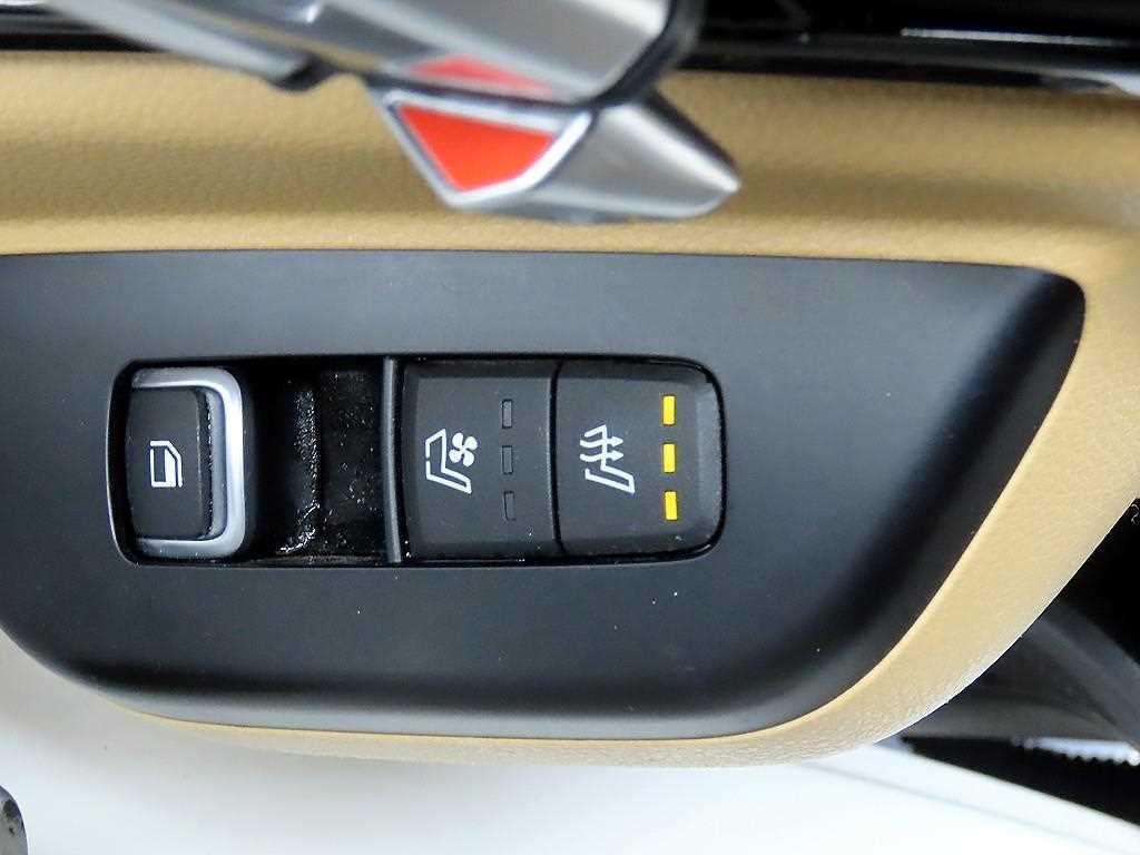 KIA Carnival - Vista 12