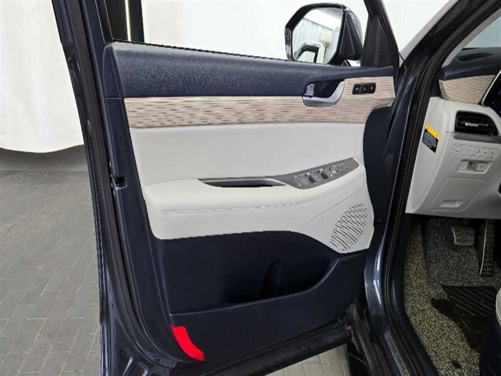 HYUNDAI Palisade - Vista 10