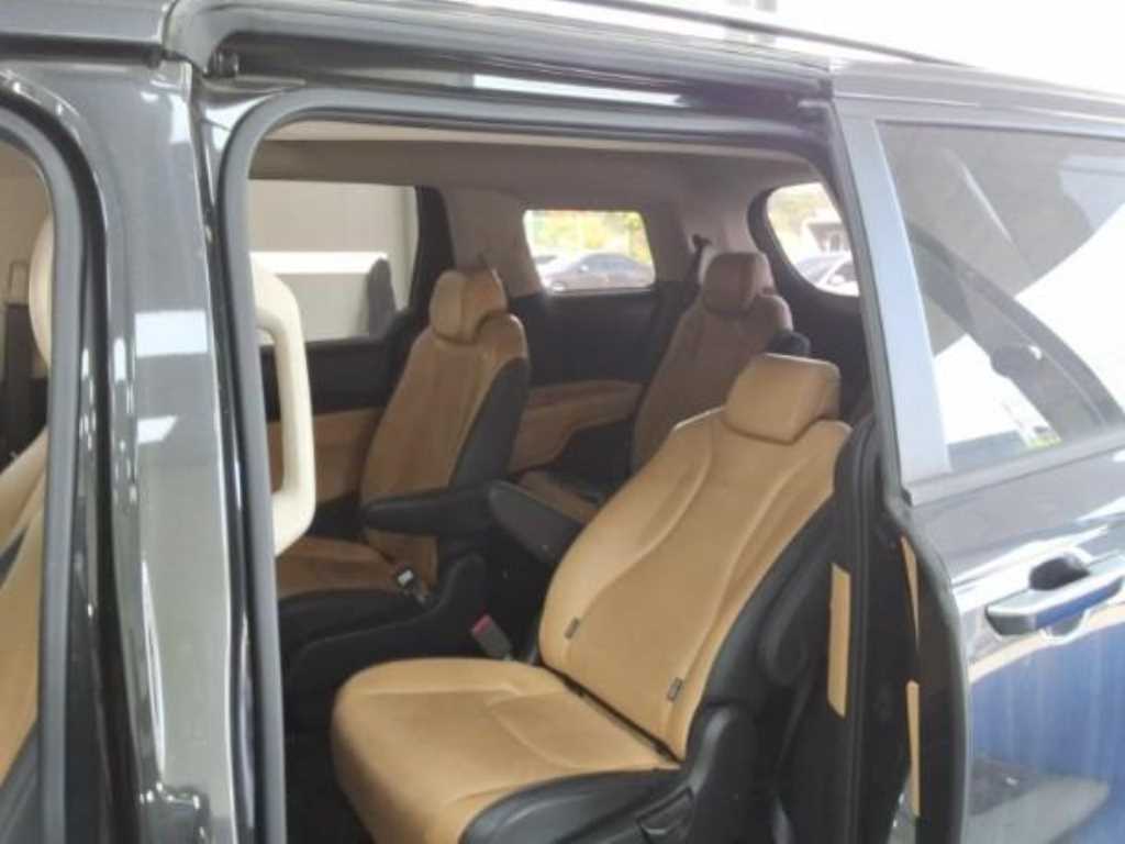 KIA Carnival - Vista 12