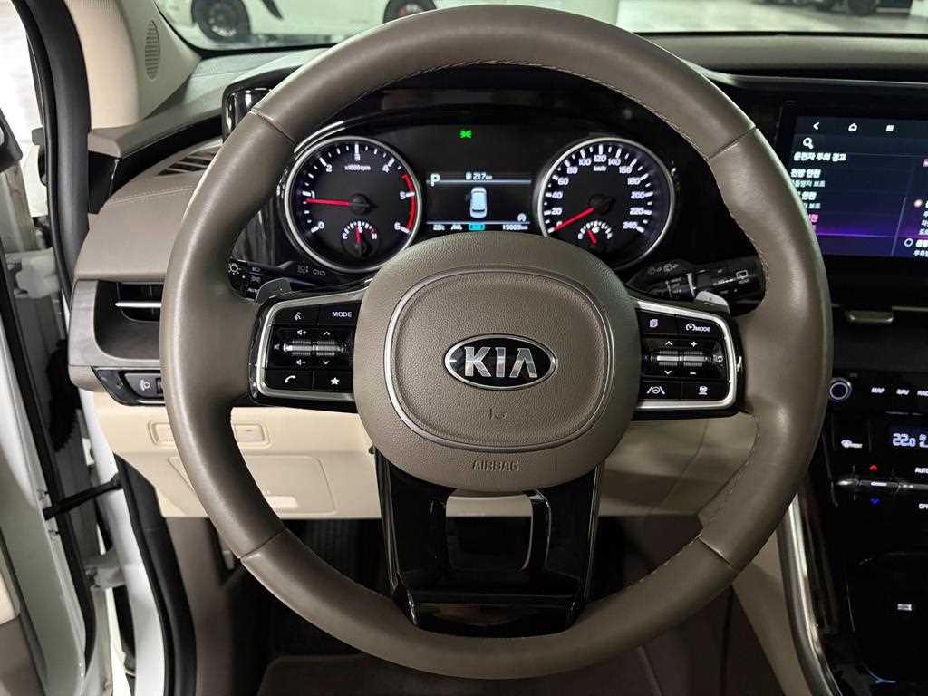 KIA Carnival - Vista 8