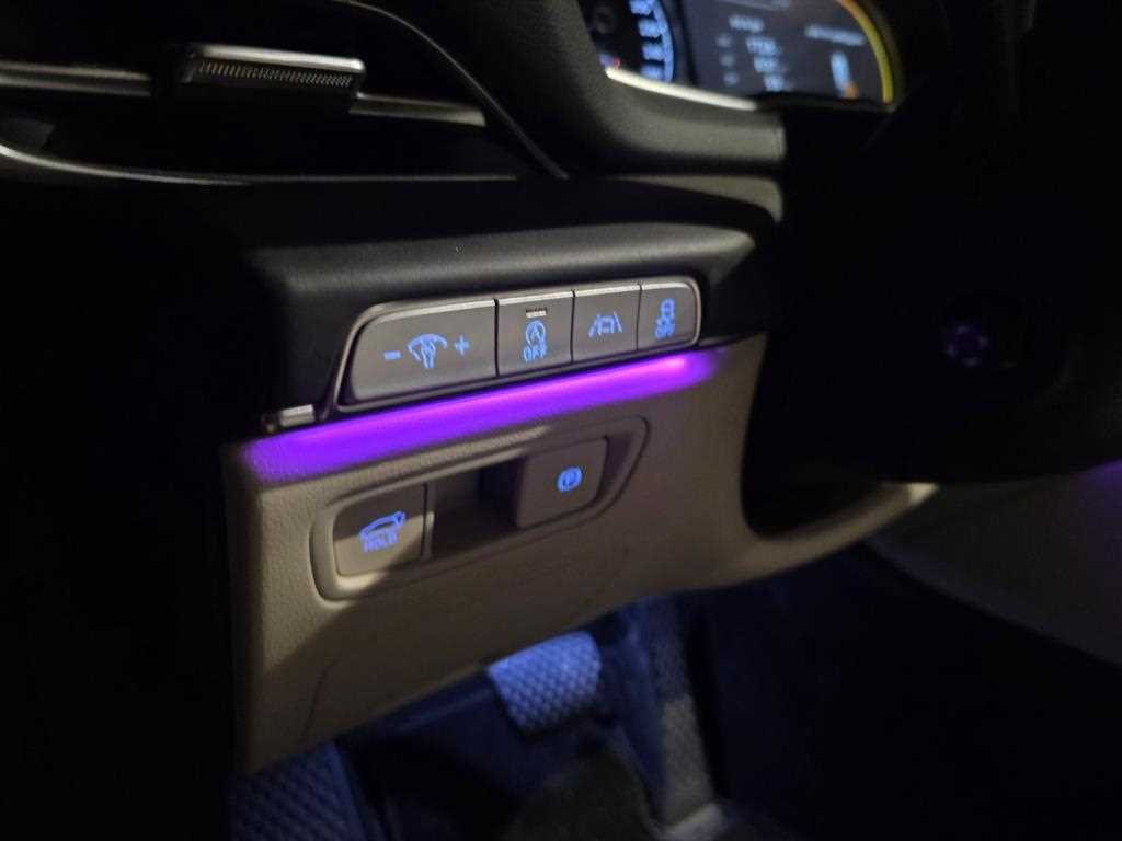 Genesis GV80 - Vista 10