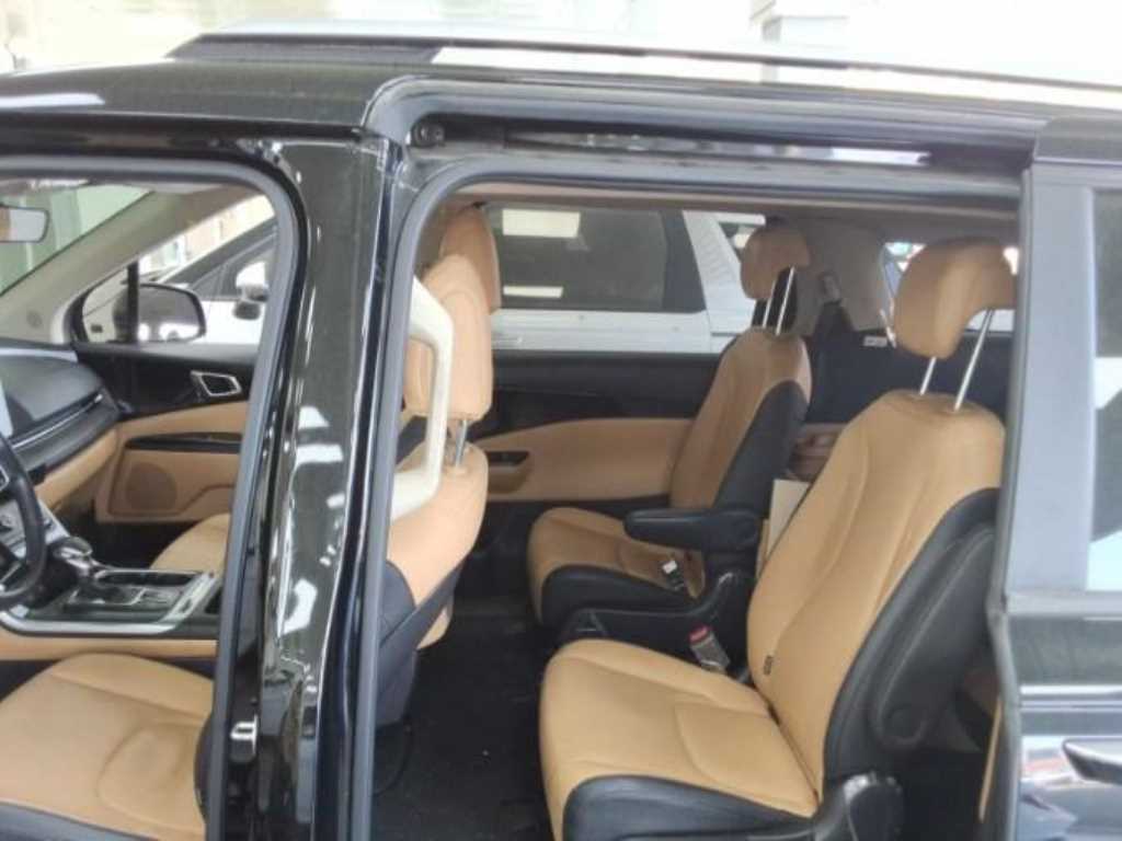 KIA Carnival - Vista 9