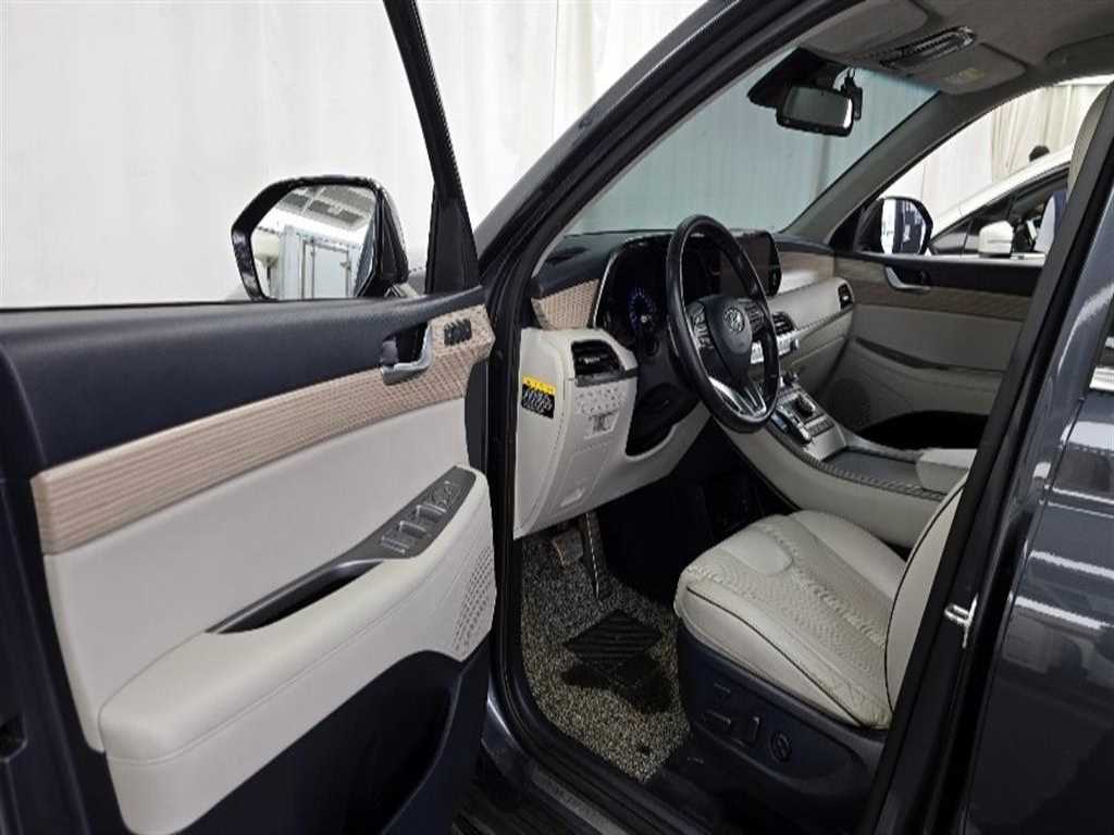 HYUNDAI Palisade - Vista 12