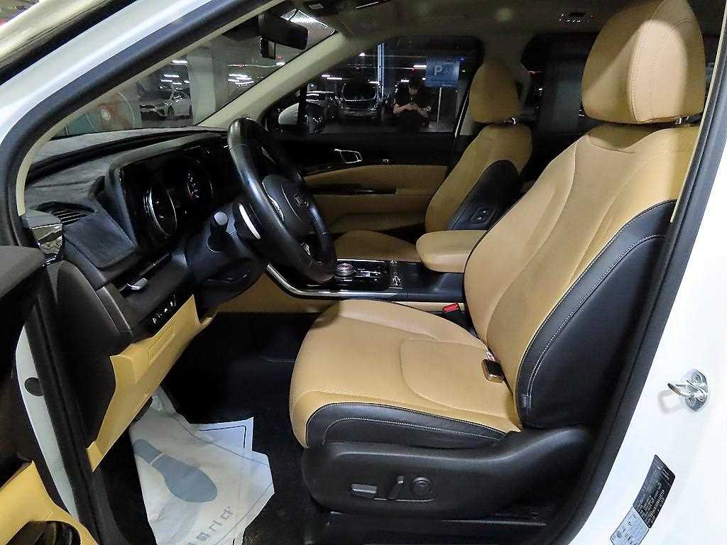 KIA Carnival - Vista 6