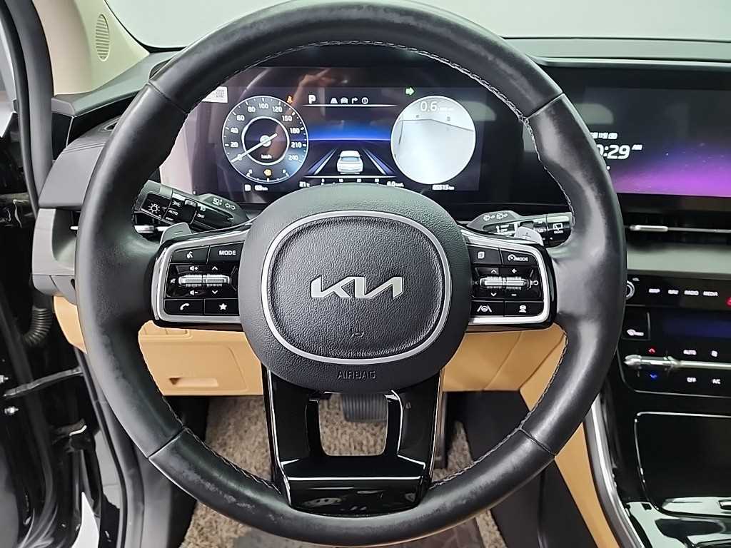 KIA Carnival - Vista 9