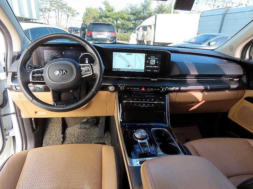 KIA Carnival - Vista 8