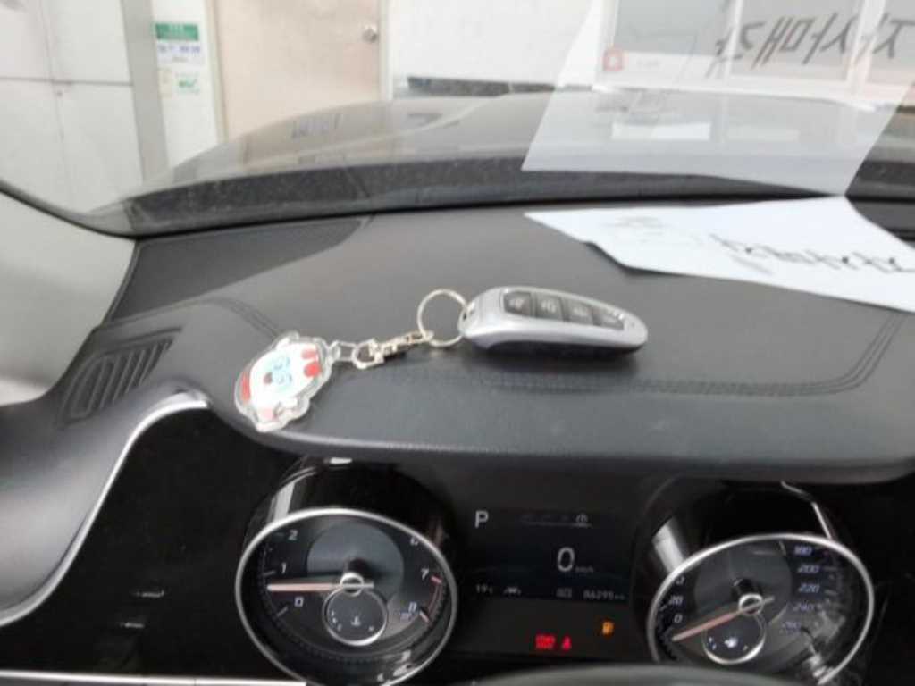 HYUNDAI Grandeur - Vista 8