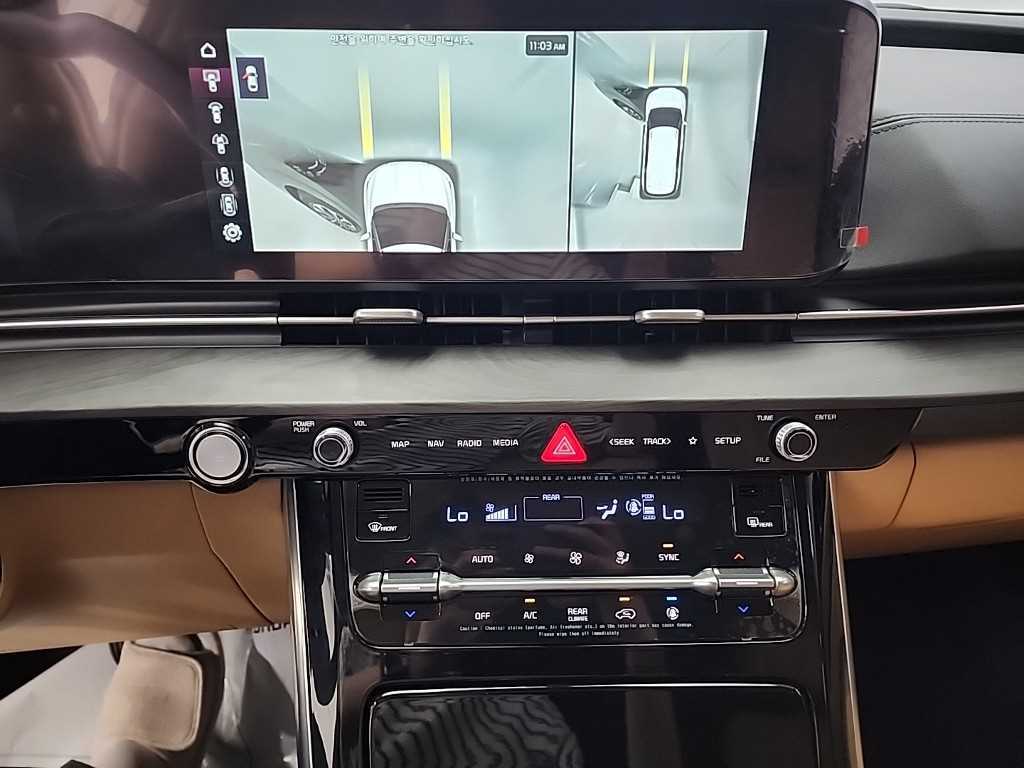 KIA Carnival - Vista 10