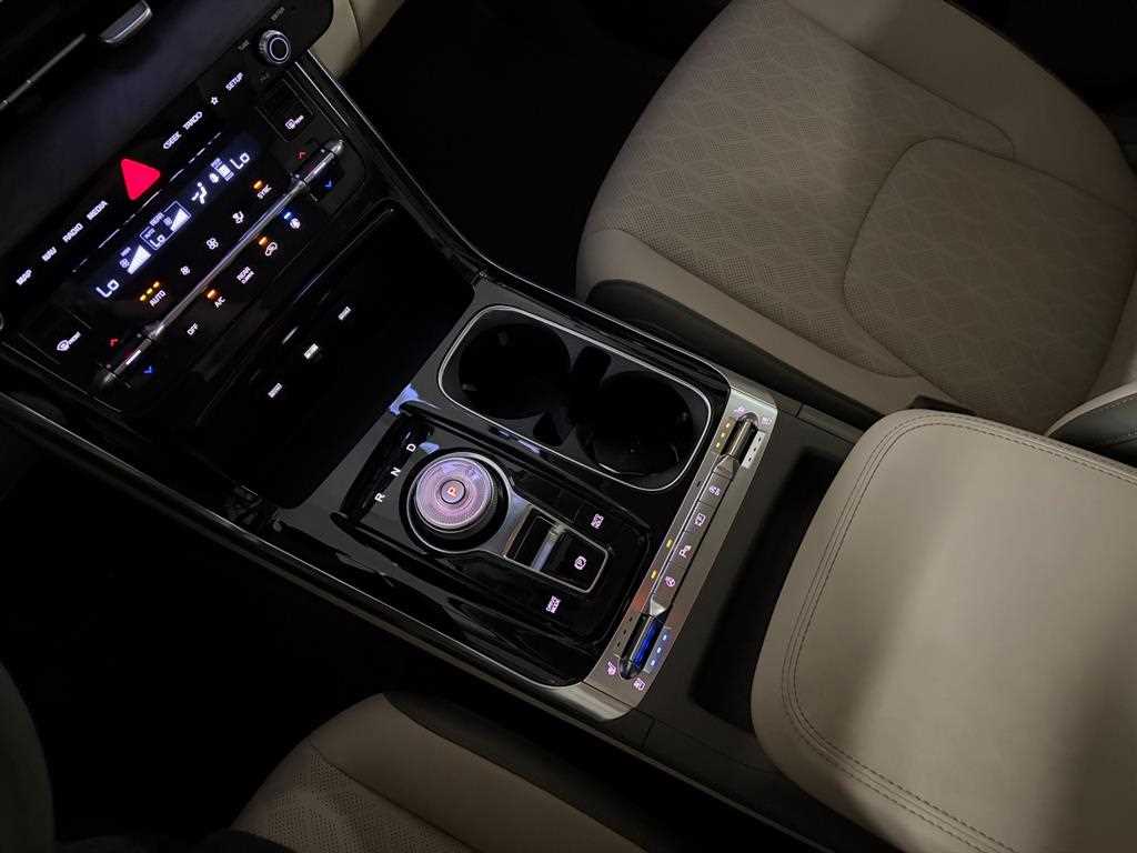KIA Carnival - Vista 11