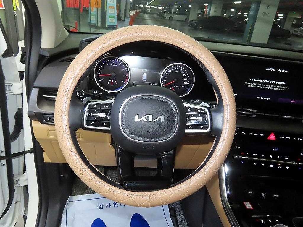 KIA Carnival - Vista 8