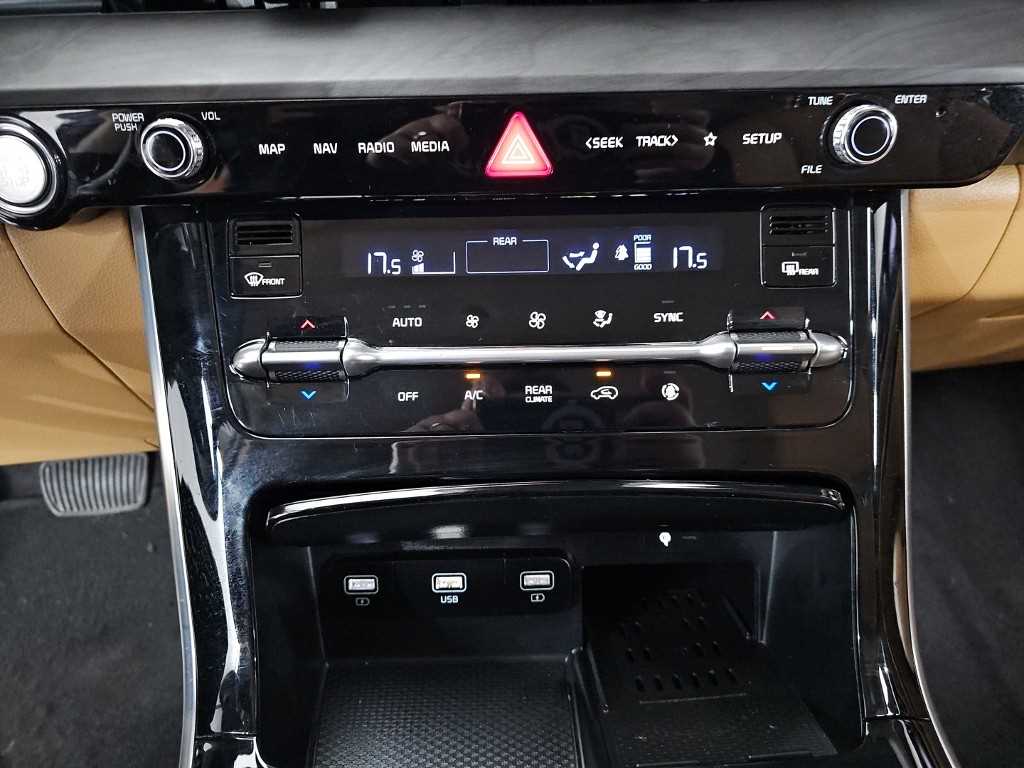 KIA Carnival - Vista 10