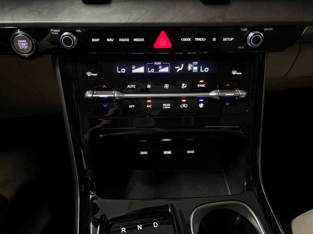 KIA Carnival - Vista 12