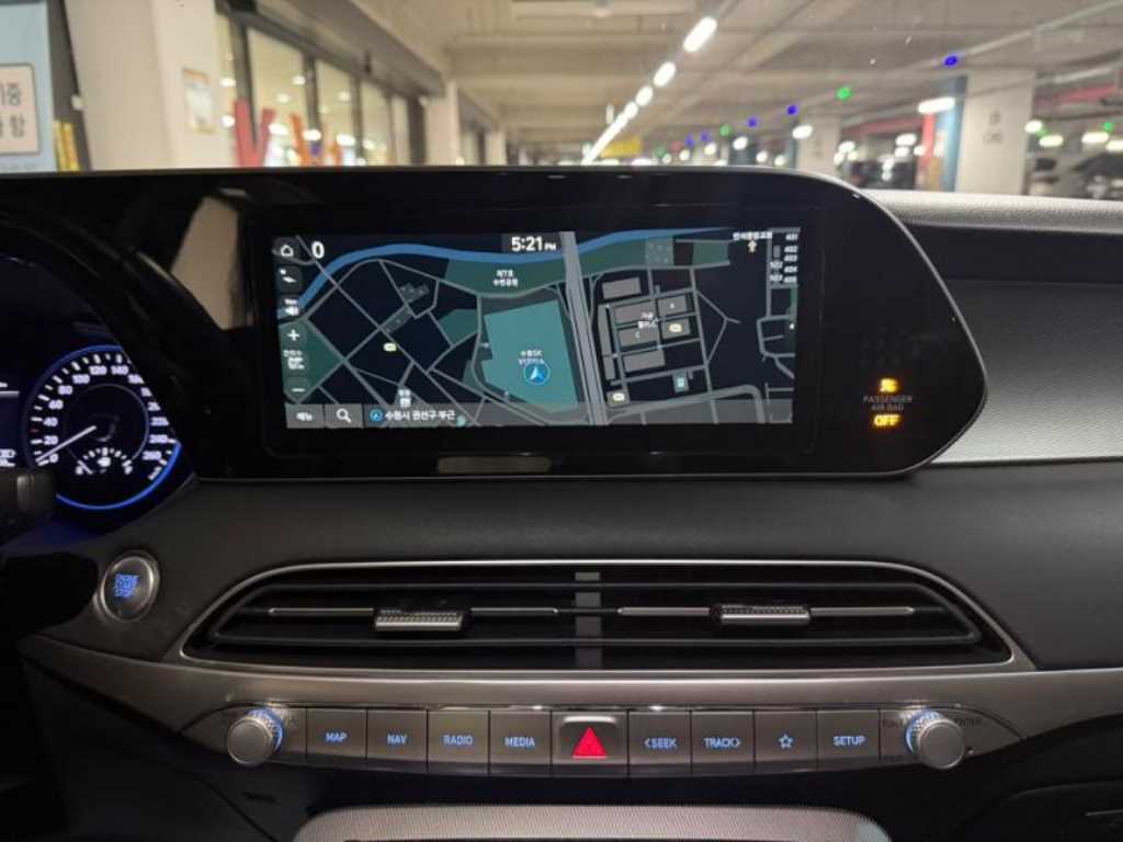HYUNDAI Palisade - Vista 10