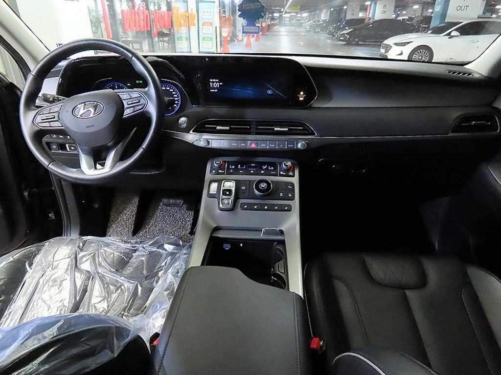 HYUNDAI Palisade - Vista 10