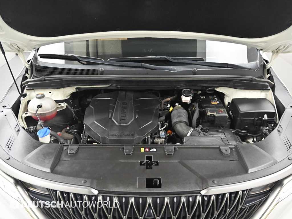 KIA Carnival - Vista 6
