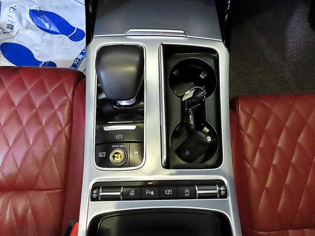 KIA Stinger - Vista 12