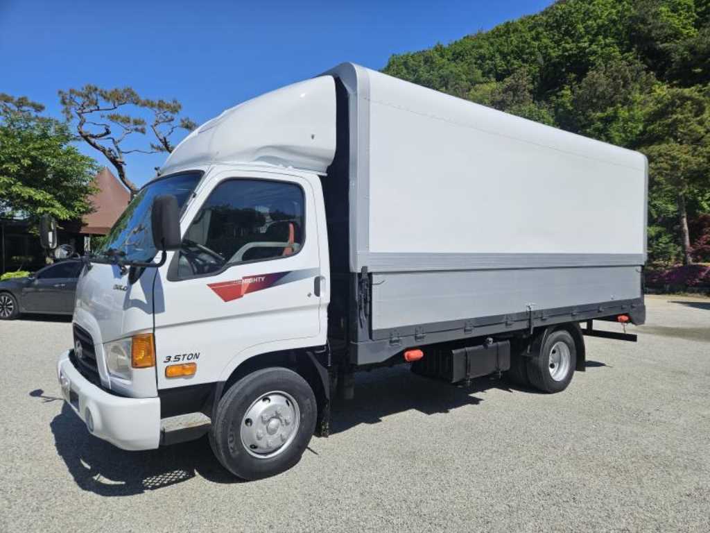 medium and large cargo truck 2009 Blanco - Importación desde Corea - HF Imports Iquique - Foto 1