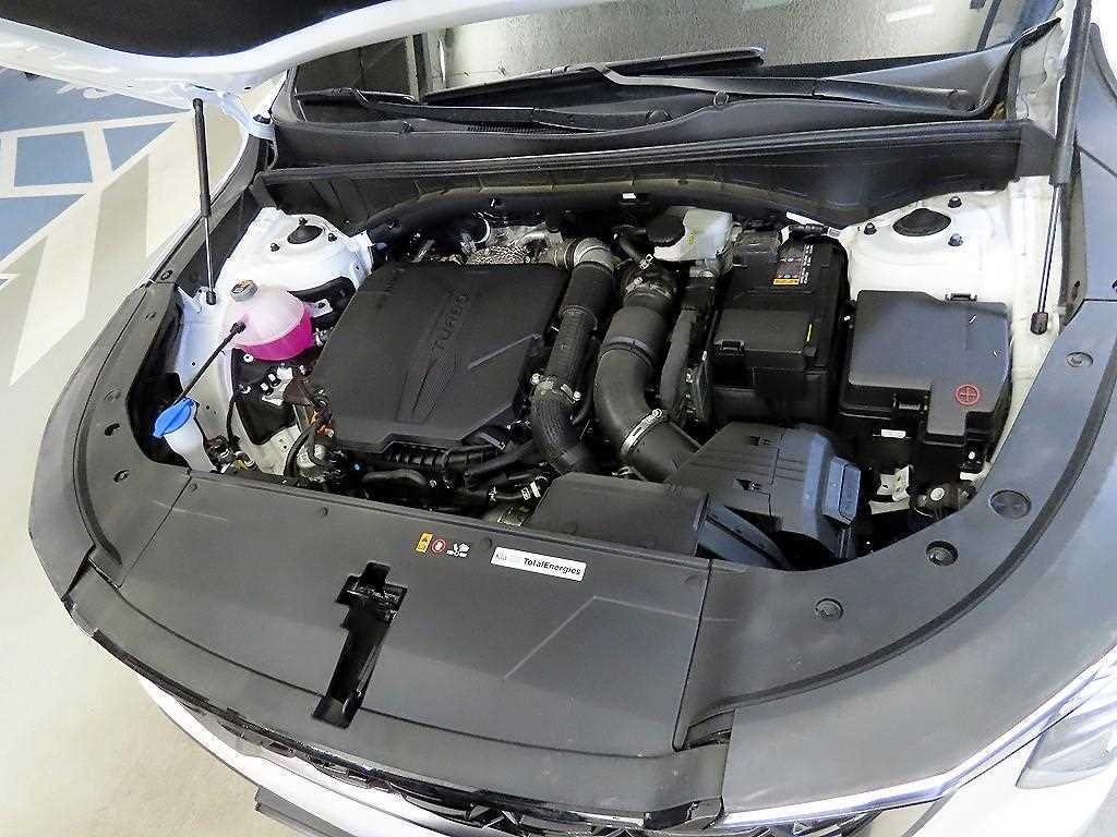 KIA Sorento 2026 Blanco - Importación desde Corea - HF Imports Iquique - Foto 19