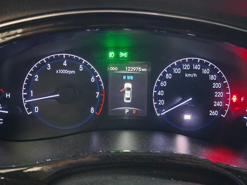 HYUNDAI Genesis - Vista 6