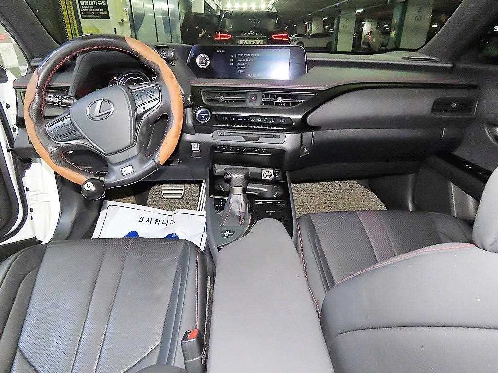 Lexus UX - Vista 10