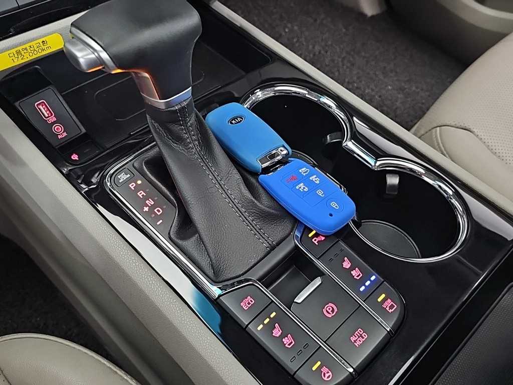 KIA Carnival - Vista 8