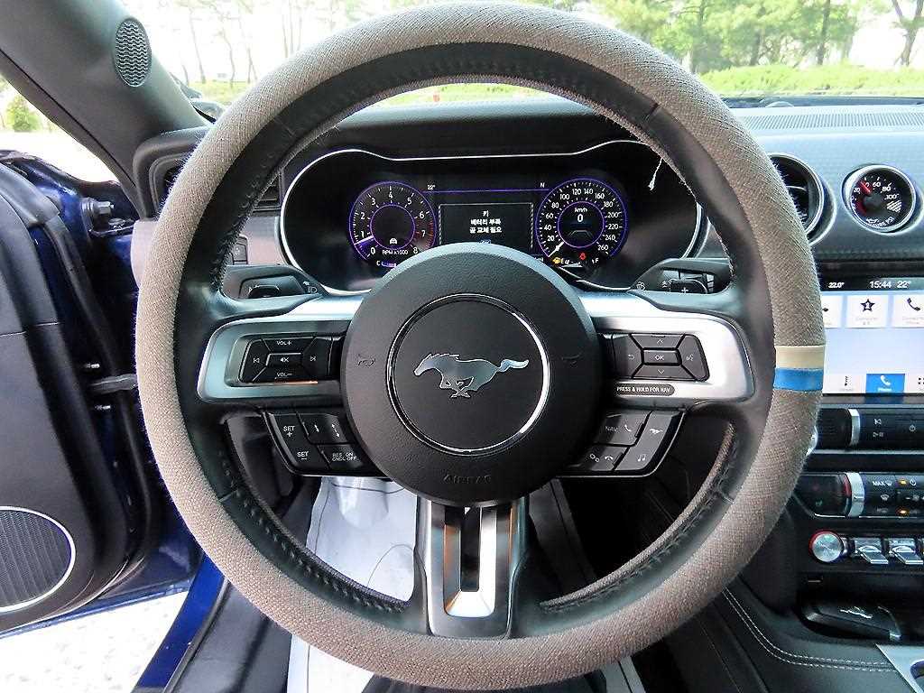 Ford Mustang - Vista 8