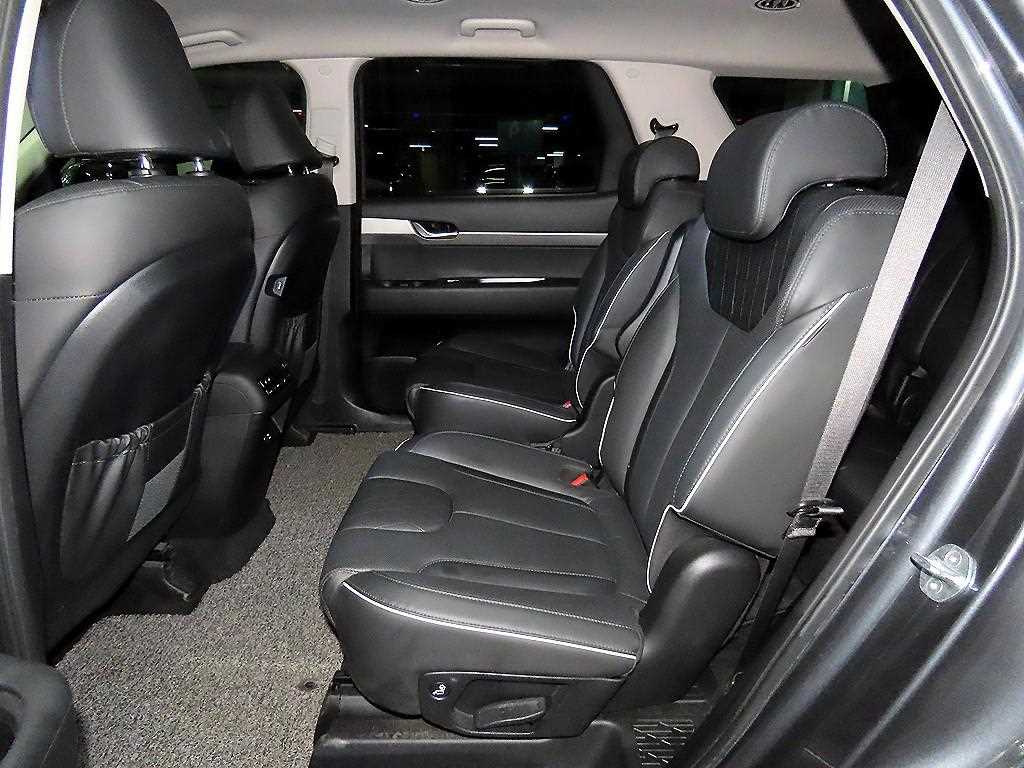HYUNDAI Palisade - Vista 7