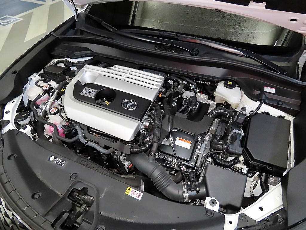 Lexus UX 2020 Blanco - Importación desde Corea - HF Imports Iquique - Foto 19