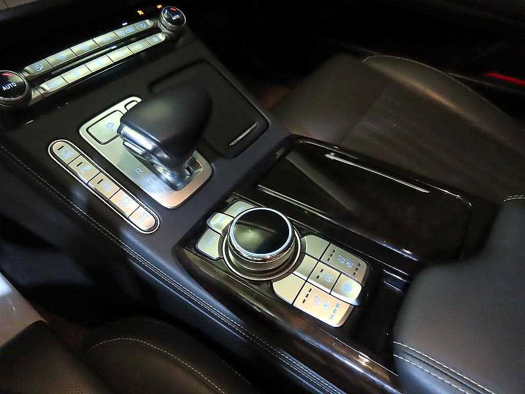 Genesis G90 - Vista 12