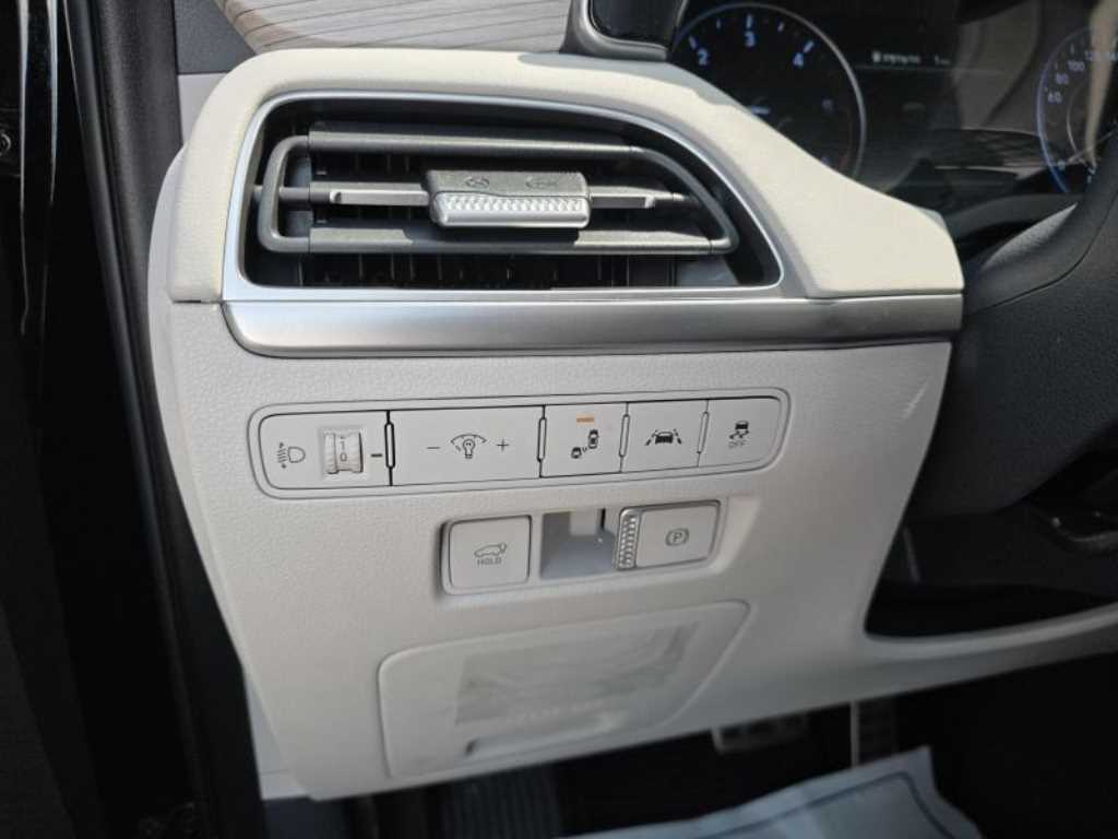 HYUNDAI Palisade - Vista 10