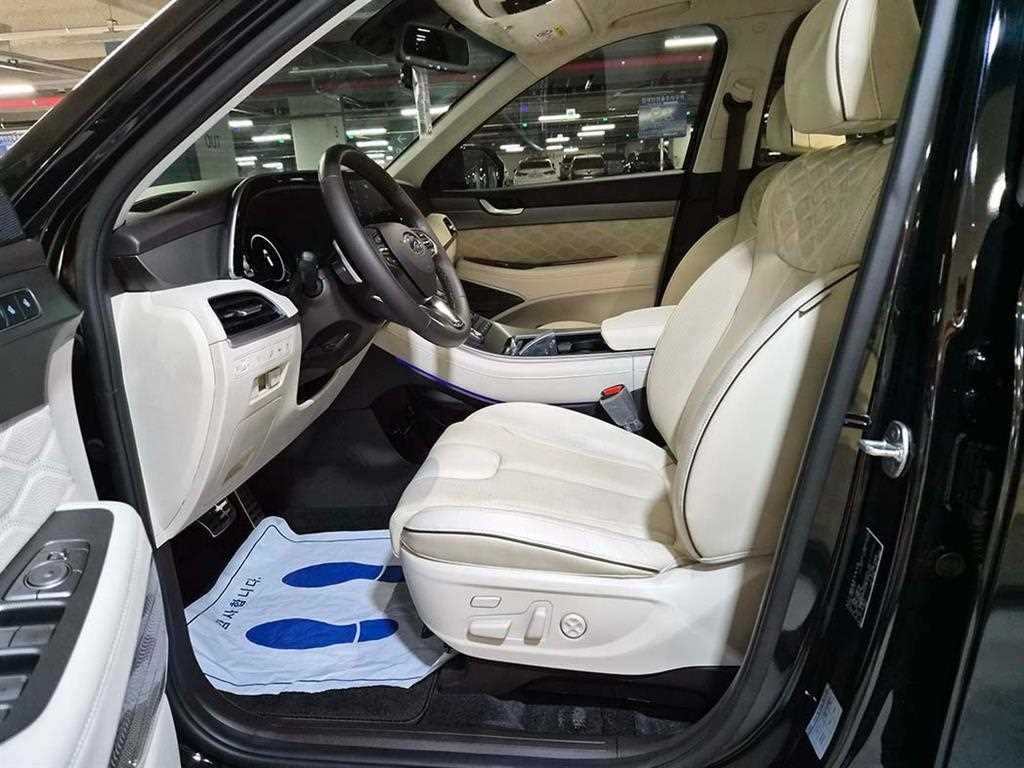 HYUNDAI Palisade - Vista 6