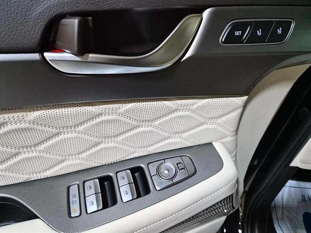 HYUNDAI Palisade - Vista 12