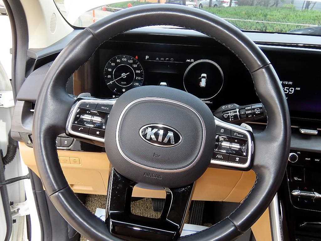 KIA Carnival - Vista 8