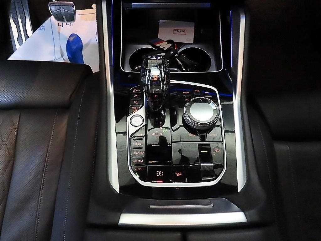 BMW X6 - Vista 12