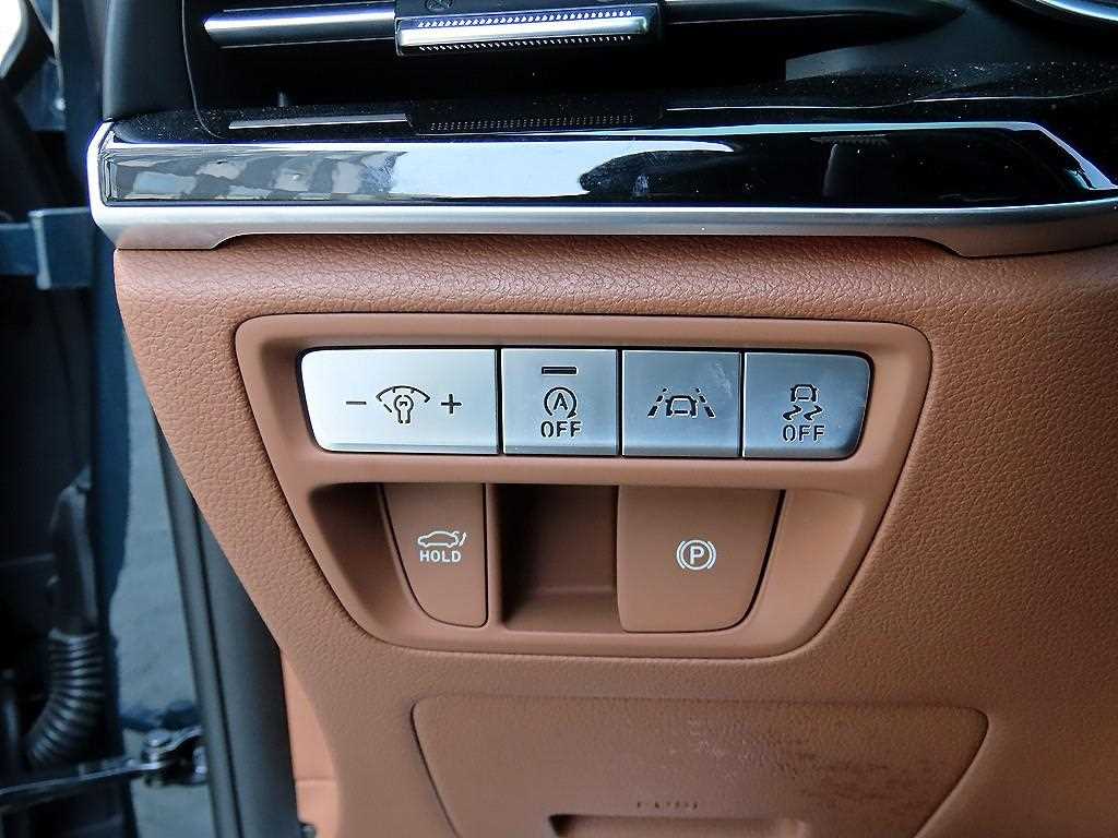 Genesis G80 - Vista 12