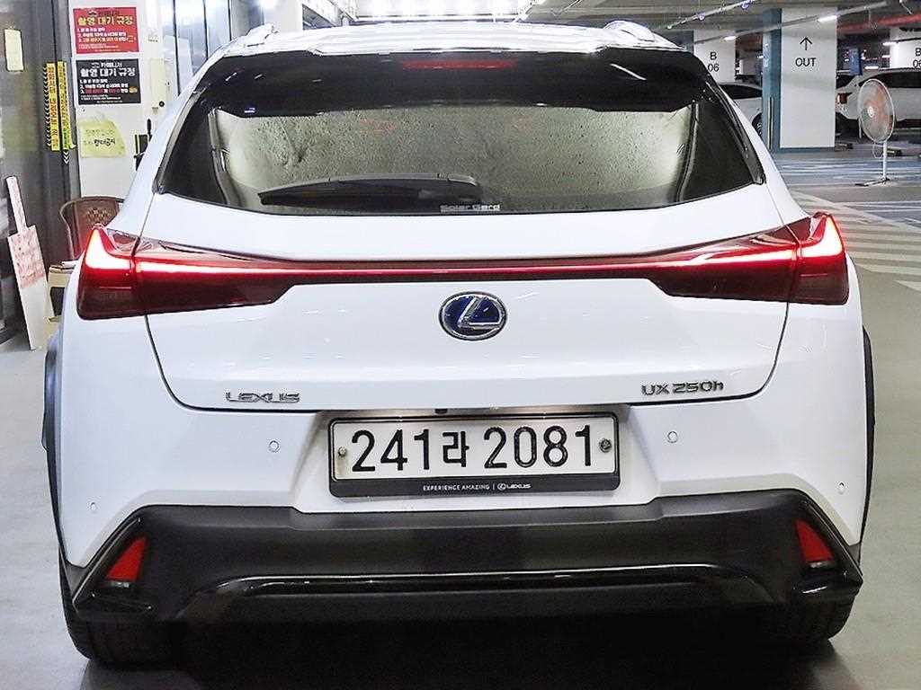 Lexus UX - Vista 5