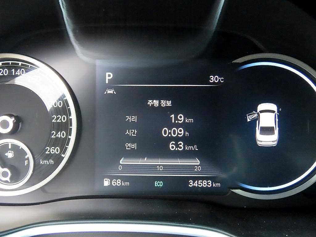 Genesis G80 - Vista 9
